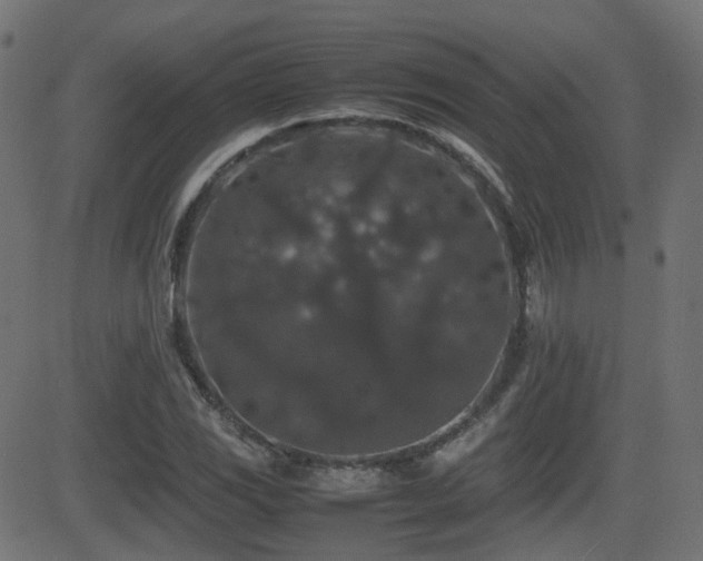 X0000081311117200701111301