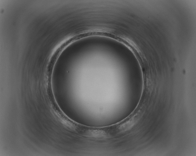 X0000081311119200701111301