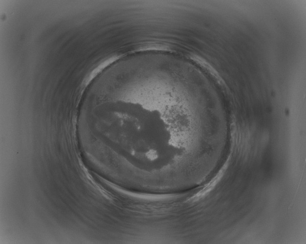 X0000081311121200701111301
