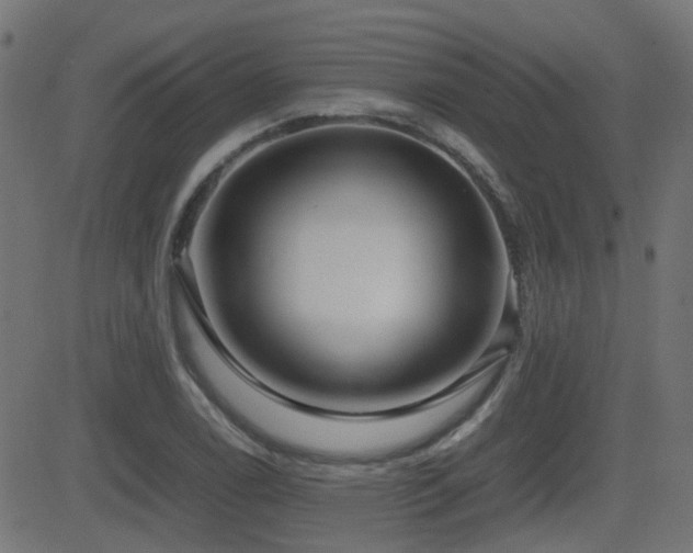 X0000081311122200701111301