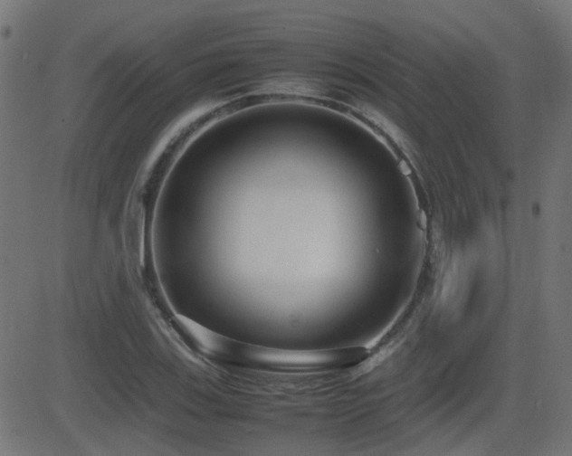X0000081311123200701111301