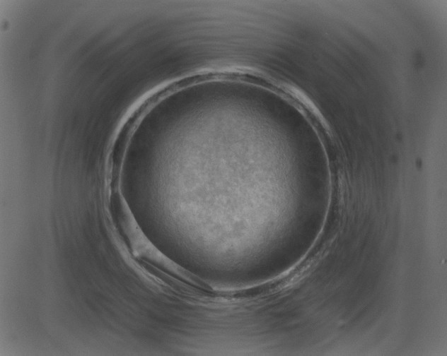 X0000081311124200701111301