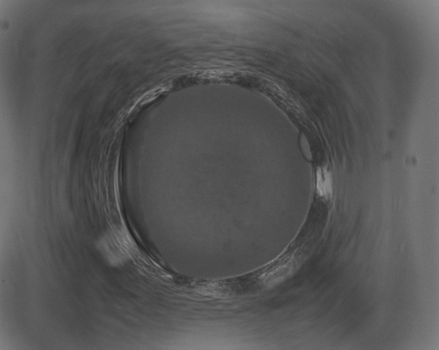 X0000081311155200701111301