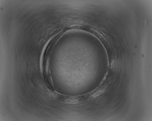 X0000081311156200701111301