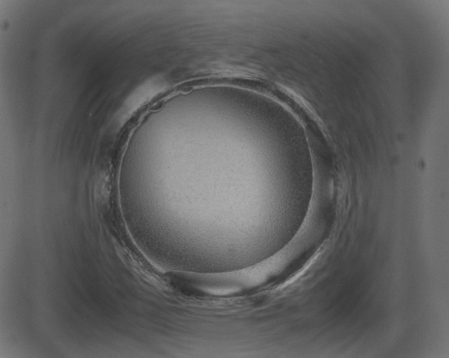X0000081311163200701111301