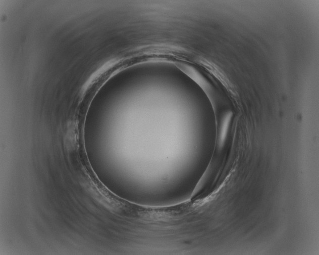 X0000081311164200701111301