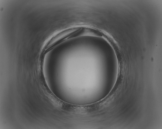 X0000081311167200701111301