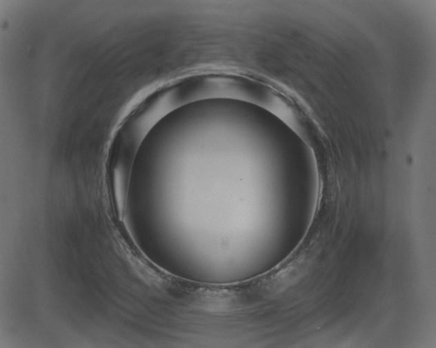 X0000081311168200701111301