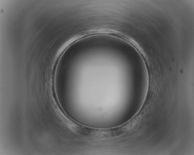X0000081311187200701111300