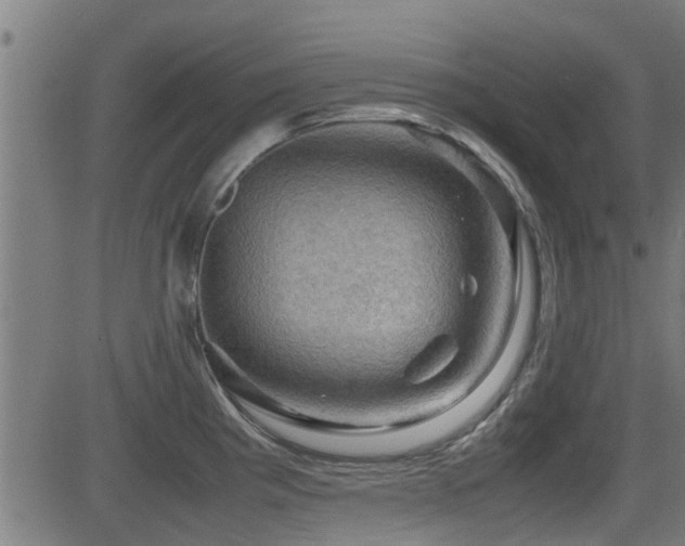 X0000081311193200701111300