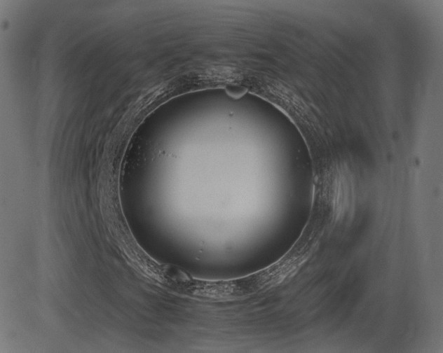 X0000081311201200701111259