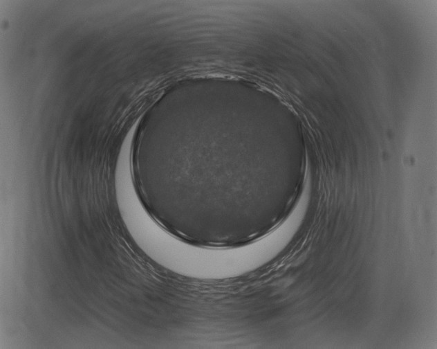 X0000081311202200701111259