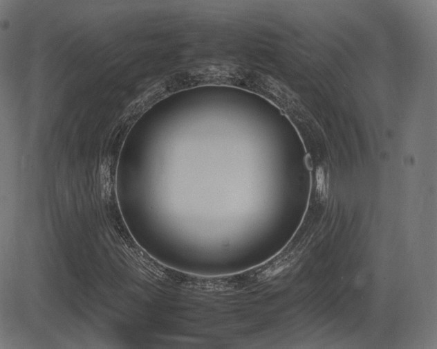 X0000081311203200701111259