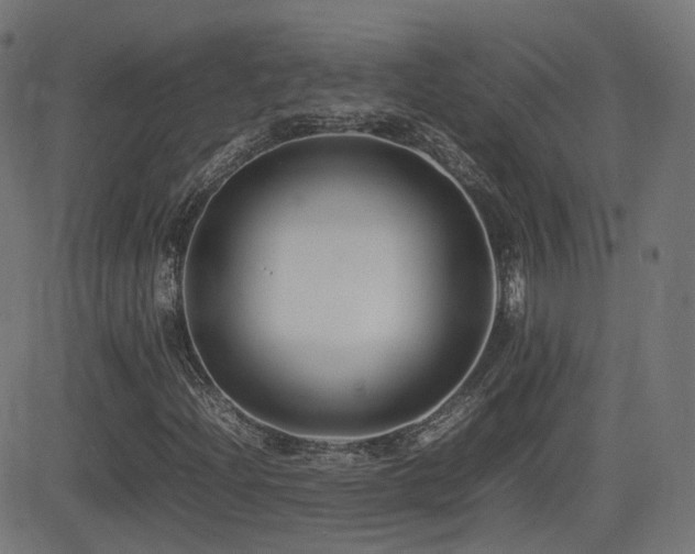 X0000081311204200701111259