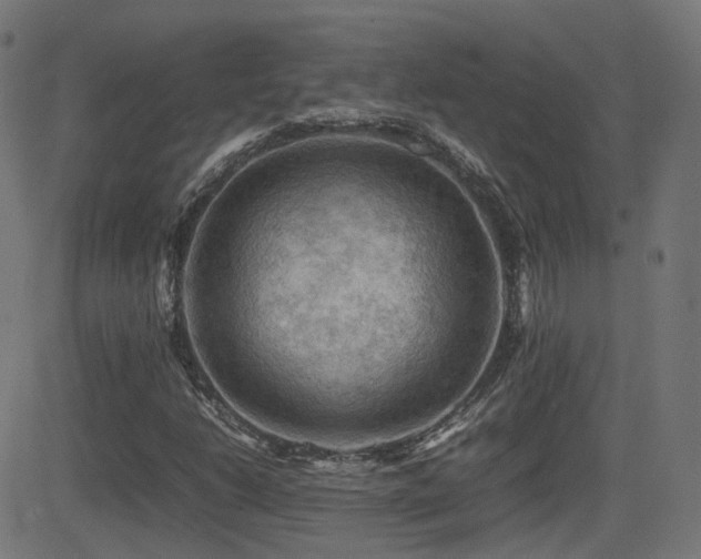 X0000081311206200701111259