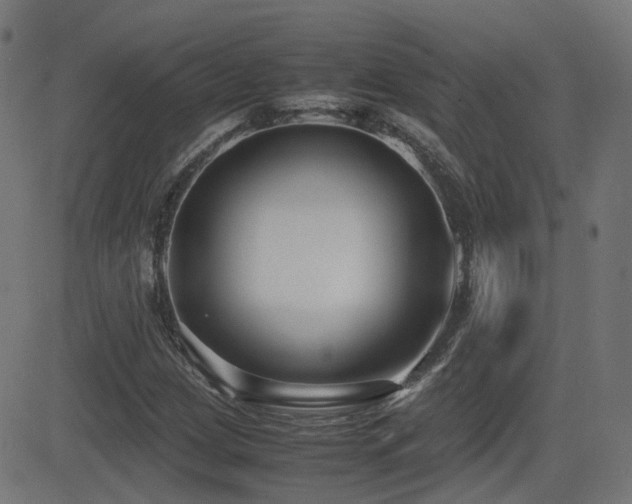 X0000081311209200701111259