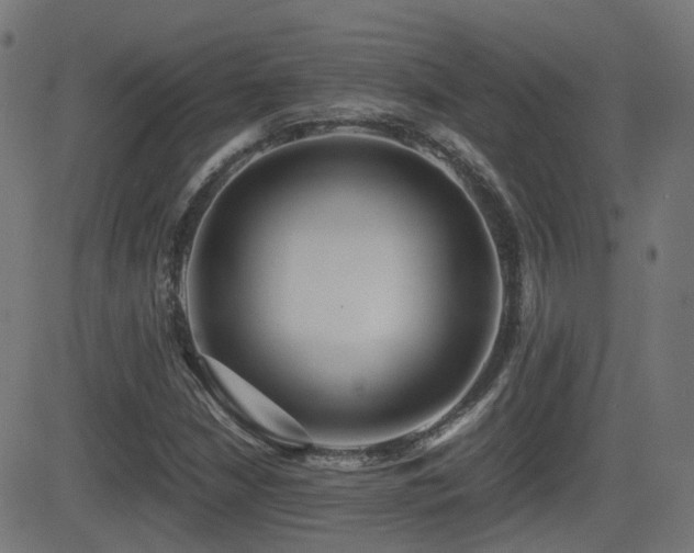 X0000081311210200701111259