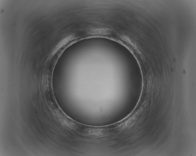 X0000081311211200701111259