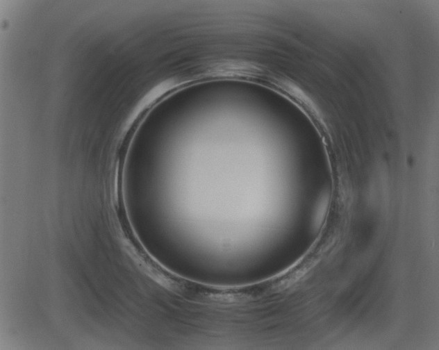 X0000081311227200701111300