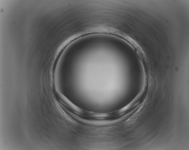 X0000081311238200701111300