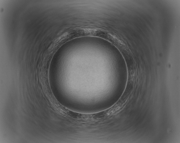X0000081311249200701111259