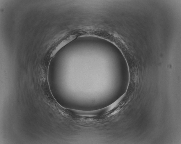 X0000081311253200701111259