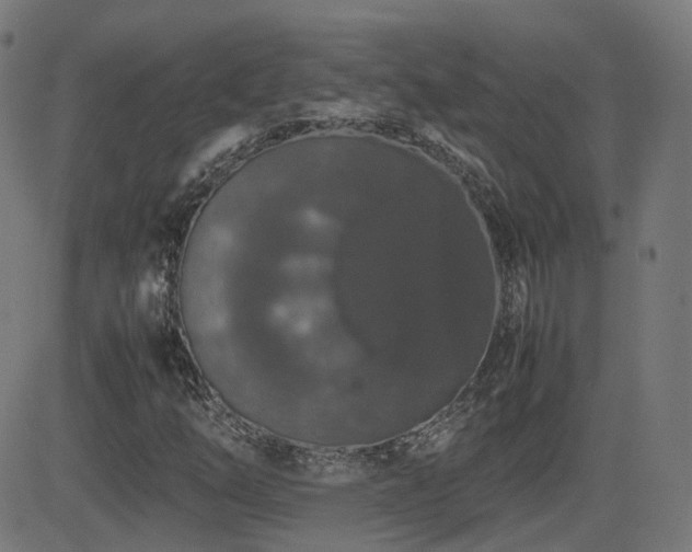 X0000081311254200701111259