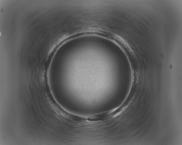 X0000081311260200701111259