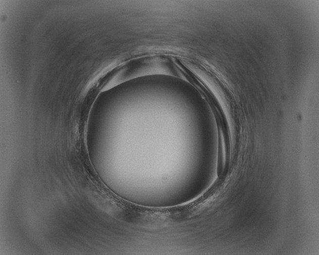 X0000081311261200701111259