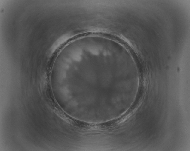 X0000081311263200701111259