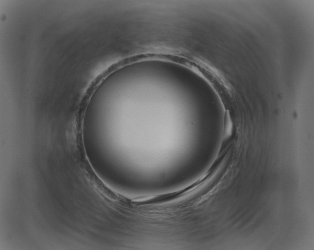 X0000081311264200701111259