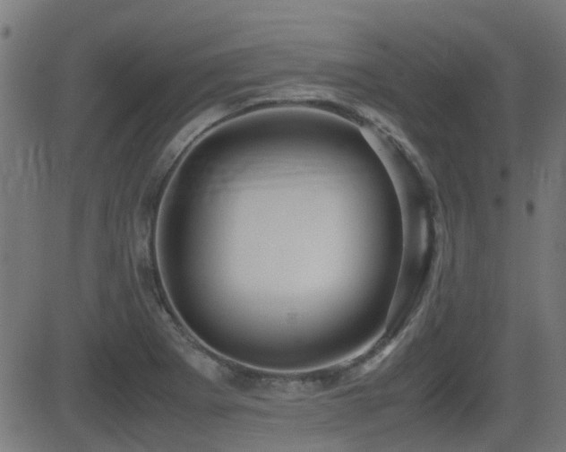 X0000081311273200701111259