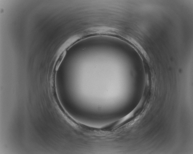 X0000081311285200701111259