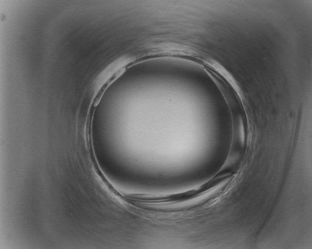 X0000081311293200701111258