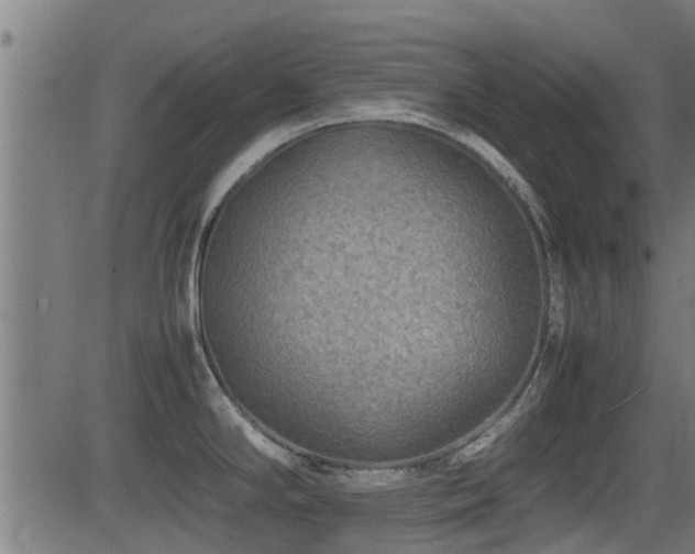 X0000081311294200701111258