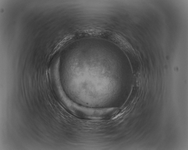X0000081311298200701111258