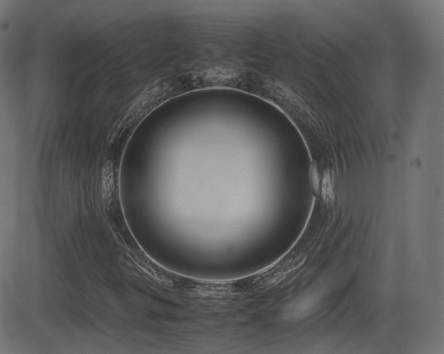 X0000081311299200701111258