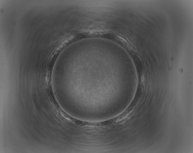 X0000081311300200701111258