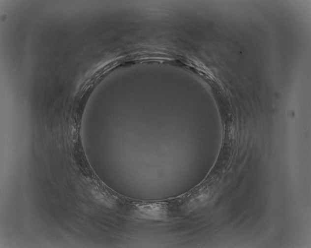 X0000081311303200701111258