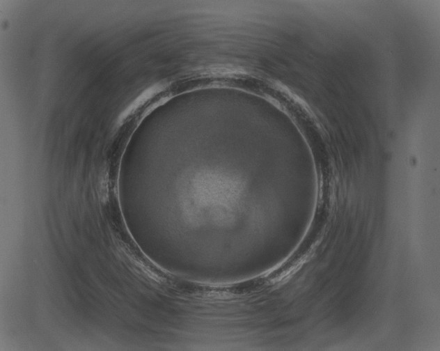 X0000081311306200701111258