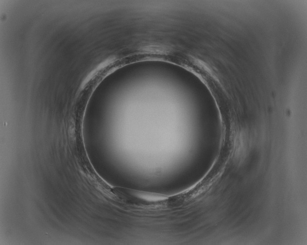 X0000081311307200701111258