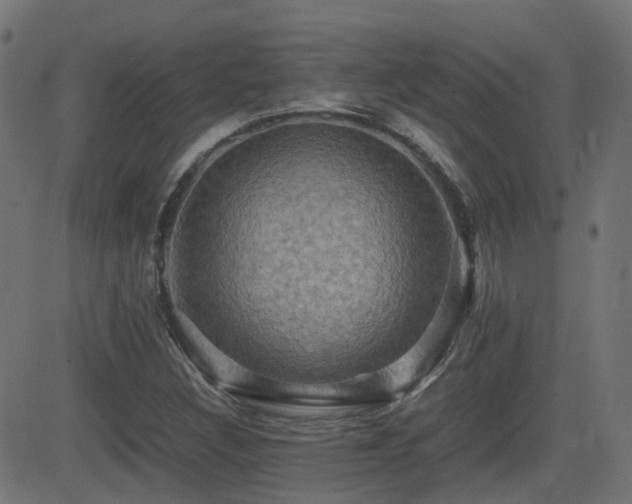 X0000081311308200701111258