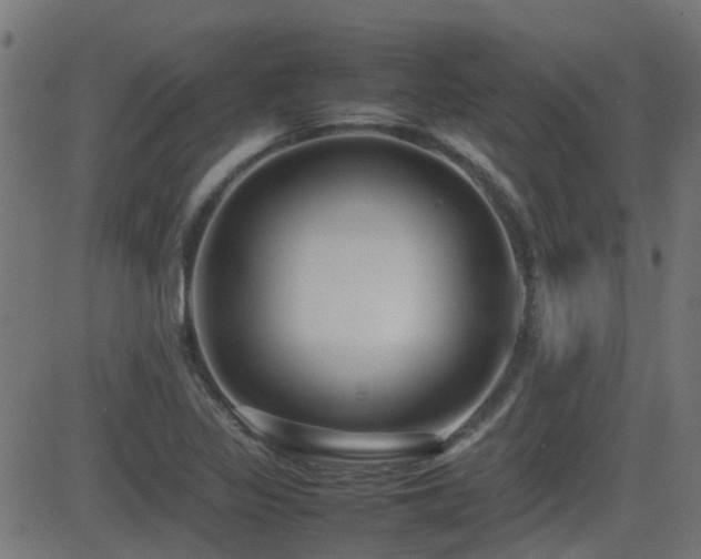 X0000081311317200701111258