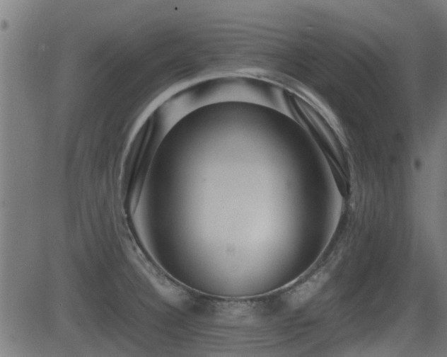 X0000081311332200701111258
