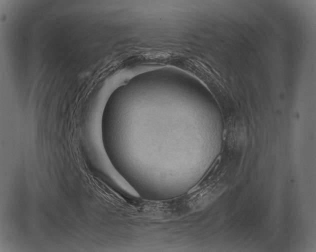 X0000081311345200701111258