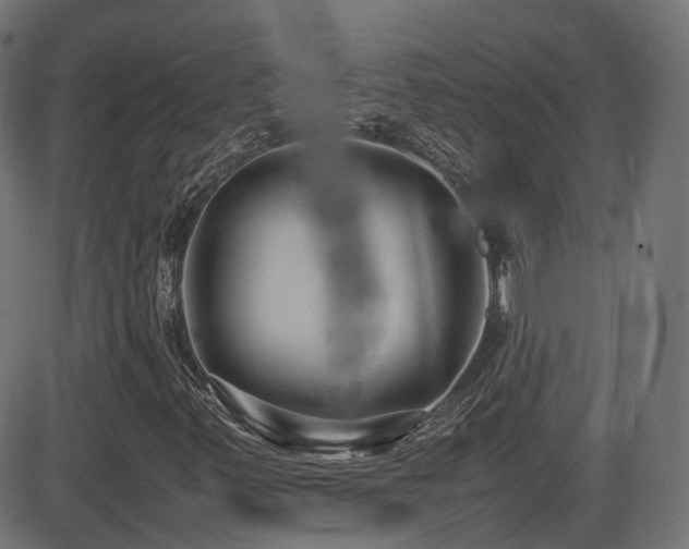 X0000081311347200701111258