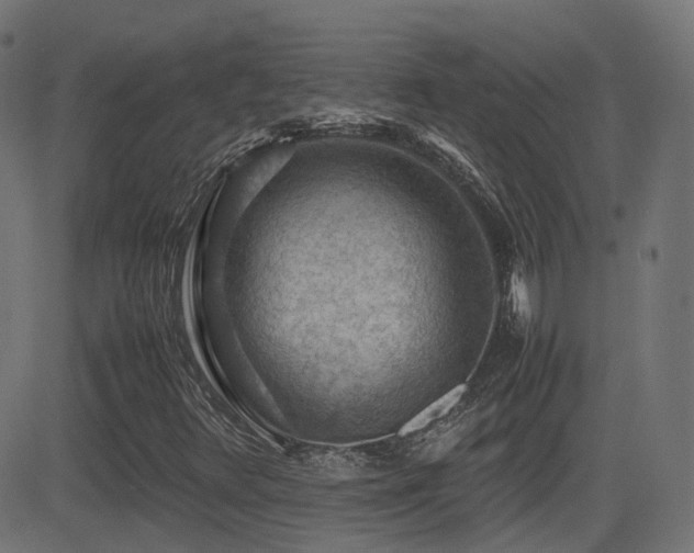 X0000081311348200701111258