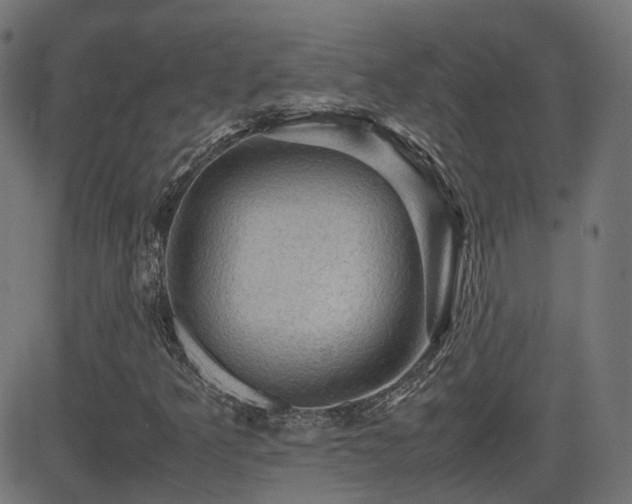 X0000081311349200701111258