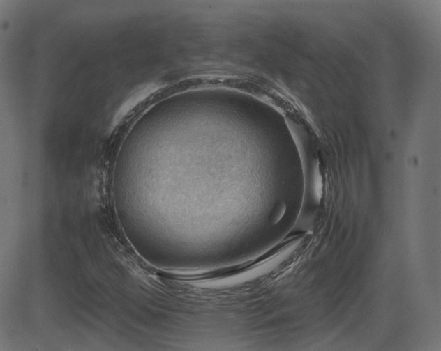X0000081311352200701111258