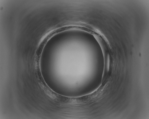 X0000081311360200701111257